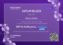 IBM ile Kodluyoruz: AI4Future İleri Seviye